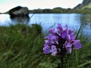 Anello Laghi con Cima di Ponteranica centrale-Lago di Pescegallo da Ca’ San Marco il 15 agosto 2020- FOTOGALLERY